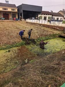 七星台镇张家场村：全民清扫迎新春 干干净净过大年