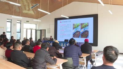 仙女镇向巷村开展柑橘春季管理技术培训