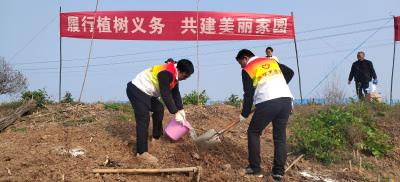 问安镇：春风添新绿 医者践初心