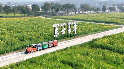 枝江游玩“新花样”来了！