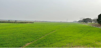 安福寺镇秦家塝村：惊蛰万物生，春耕正当时