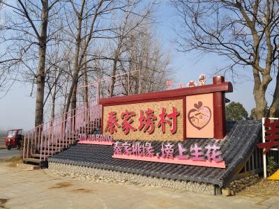 桃缘筑梦 塝上生花 安福寺镇秦家塝村书写综合改革新篇章