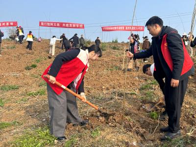 春风拂枝吐新绿 植树添绿正当时 问安镇开展春季义务植树活动