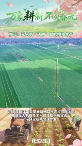 万象“耕”新 不负春光丨枝江：无人机“飞防”护航粮油丰产。