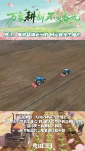 万象“耕”新 不负春光丨枝江：春耕备耕正当时 田间地头生产忙
