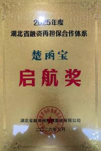 枝江天雨农担公司荣获省级“非融保函业务优秀合作担保机构”称号