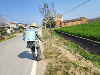 百里洲镇白马寺村：春日添新景 路美沁人心