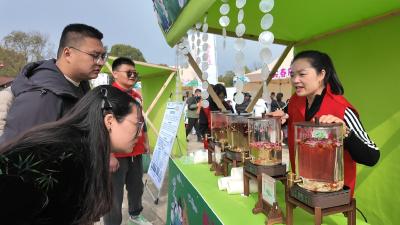 枝江市中医医院首届中医文化市集开启