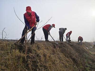 问安镇覃家山村：植桃添绿意 产业兴乡村