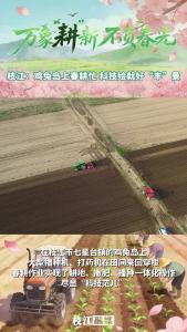 万象“耕”新 不负春光丨枝江：鸡兔岛上春耕忙 科技绘就好“丰”景 