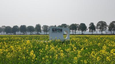 东方年华“稻轨空间”上线，邀您共赴春日桃花约