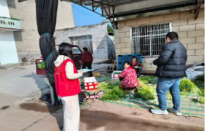 春耕禁种护平安 防毒宣传进田间