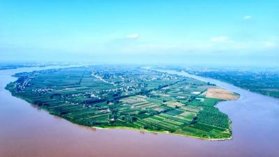 枝江8个镇（街道）集中发声！