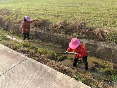 安福寺镇胡家嘴村：清淤保畅强管理 筑牢春耕生产“压舱石”
