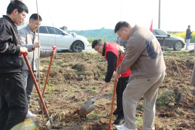 春风拂绿长江岸 代表履职践初心