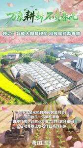 ​万象“耕”新 不负春光丨枝江：智能大棚育秧忙 科技赋能助春耕