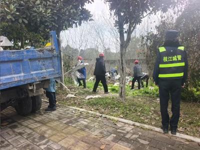 精耕细作优环境 凝心聚力护赛事——市城管局全力保障2026中国公路自行车公开赛