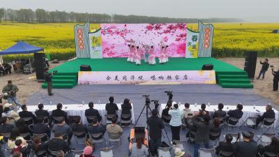 顾家店镇“花茶融合·漫游顾乡”春季文旅活动启幕