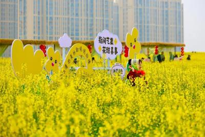 今天很特别，下一次要到2045年！