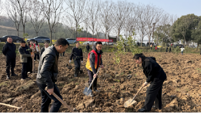安福寺镇开展植树节活动