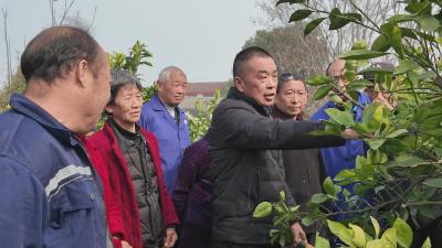 顾家店镇：开展农业技术培训 助力农民增产增收