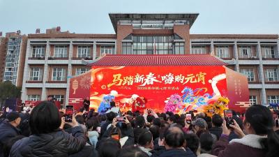 董市镇：元宵佳节乐翻天 嗨购游园年味浓