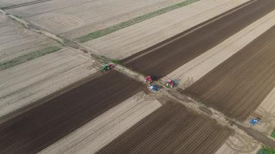春耕“现代画”铺展七星台 鸡兔岛上播种“甜蜜”希望