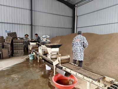 问安镇关庙山村早稻育秧有序推进