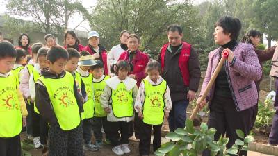 植绿护绿践初心 科普互动伴童心
