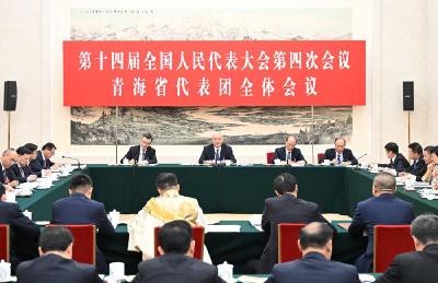 两会受权发布丨蔡奇在参加青海代表团审议时强调 牢固树立和践行正确政绩观 推动实现“十五五”良好开局