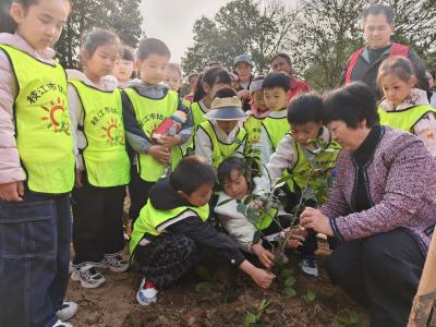 枝江市幼儿园开展植树节亲子实践活动
