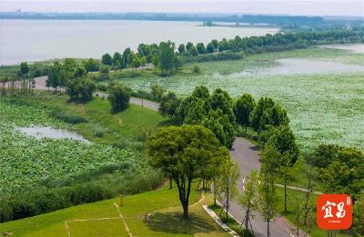 高颜值“兑”出富民账  “臭水湖”焕新“生态宝地”