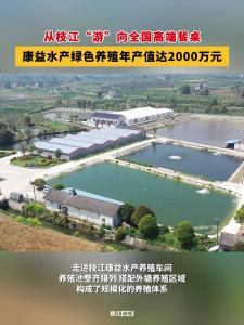 从枝江“游”向全国高端餐桌，枝江康益水产绿色养殖年产值达2000万元！