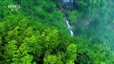 公益广告|公益惠民 移风易俗——新修订《殡葬管理条例》自2026年3月30日施行