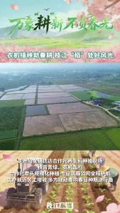 万象“耕”新 不负春光丨农机插秧助春耕 枝江“稻”处好风光