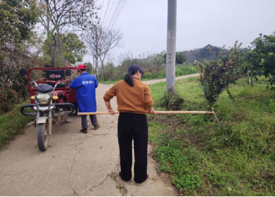 安福寺镇胡家畈村：撒播花籽添新色 扮靓乡村高颜值