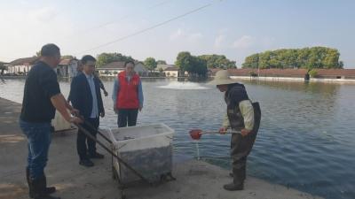 枝江“渔跃农门服务队”开展河湖巡查 护航水域生态