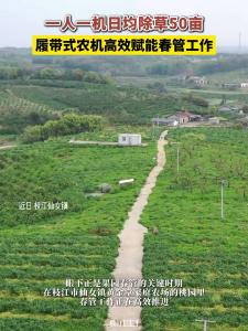 ​一人一机日均除草50亩，履带式农机高效赋能春管工作。