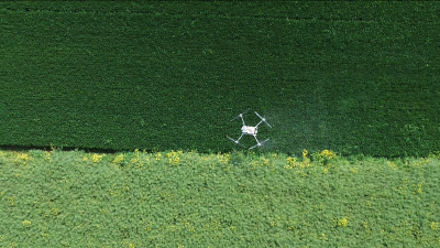农技专家田头“开方” 无人机“一喷三防”忙
