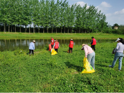 安福寺镇：践行长江大保护 党员志愿服务在行动