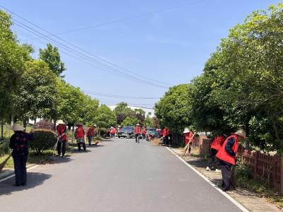 董市镇：平湖村开展村庄清洁行动 党群同心共建美丽家园
