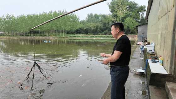 还在转发锦鲤？枝江这位“塘主”靠它年入百万！