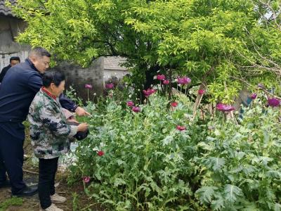 禁种铲毒不松懈 普法宣传入民心