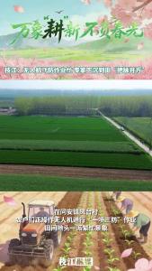 万象“耕”新 不负春光丨枝江：无人机飞防作业忙 专家下沉到田“把脉开方” 