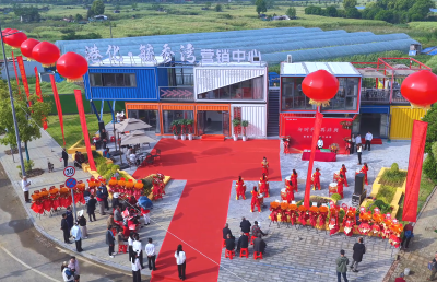 港化毓秀湾：以人才安居促产城融合