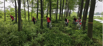 安福寺镇：护玛瑙河清流 守长江生态屏障