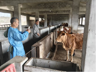 安福寺镇罐头嘴村开展畜禽防疫服务