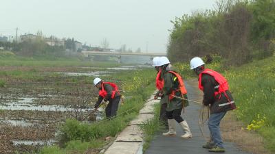 百里洲镇启动人工河主干渠清淤 有序推进水环境整治