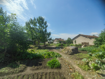 议政员“沉”下去 幸福感“提”上来