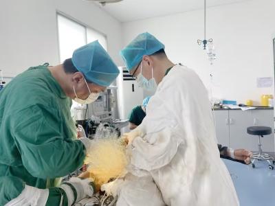 董市镇卫生院：生命无假日 医者显担当